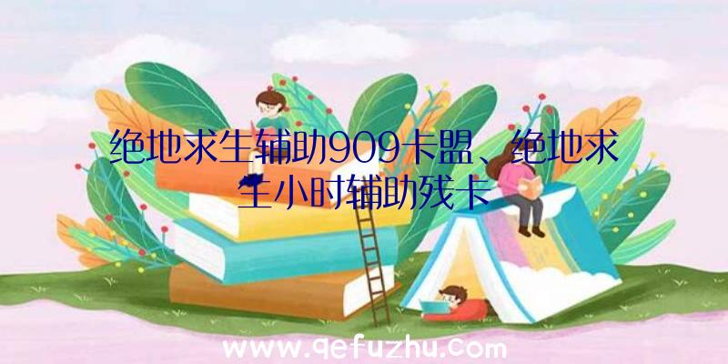 绝地求生辅助909卡盟、绝地求生小时辅助残卡