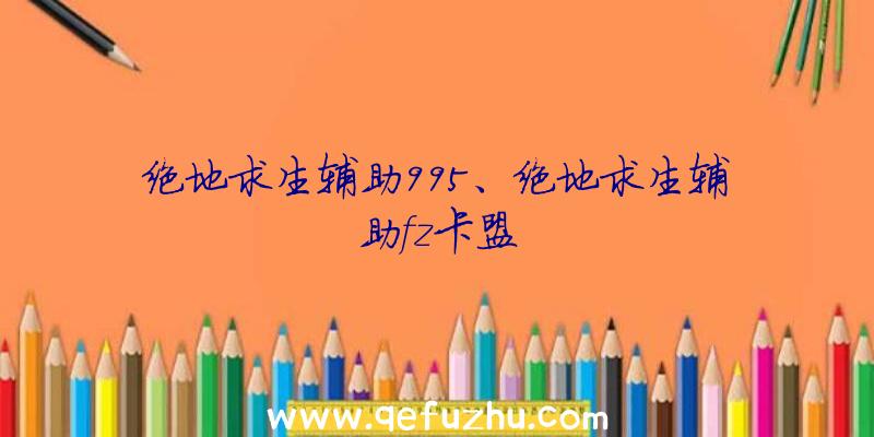 绝地求生辅助995、绝地求生辅助fz卡盟