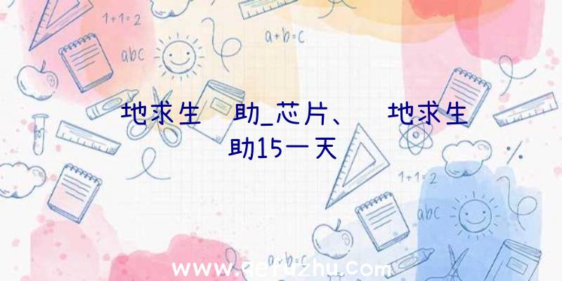 绝地求生辅助_芯片、绝地求生辅助15一天