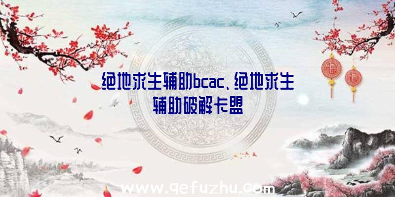 绝地求生辅助bcac、绝地求生辅助破解卡盟