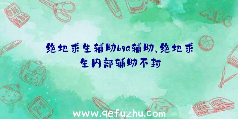 绝地求生辅助bqa辅助、绝地求生内部辅助不封