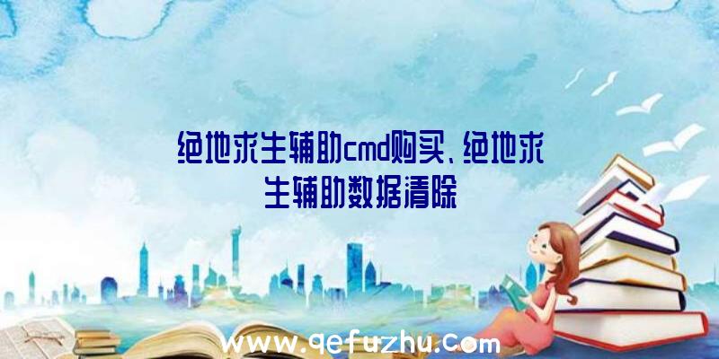 绝地求生辅助cmd购买、绝地求生辅助数据清除