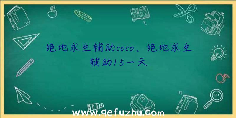 绝地求生辅助coco、绝地求生辅助15一天