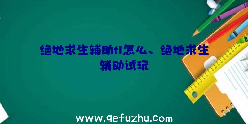 绝地求生辅助fl怎么、绝地求生辅助试玩