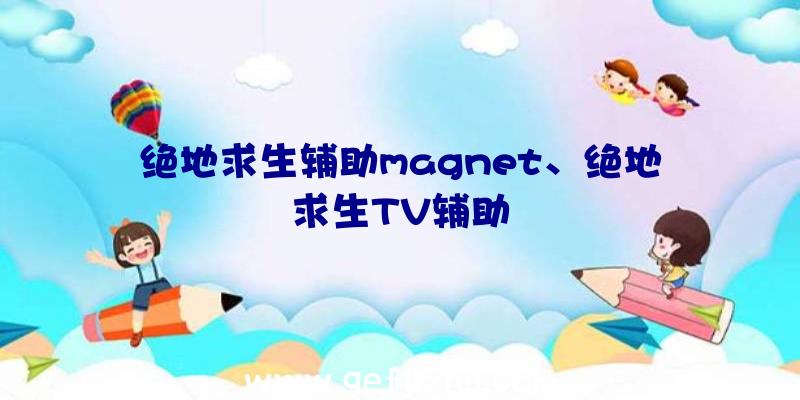 绝地求生辅助magnet、绝地求生TV辅助