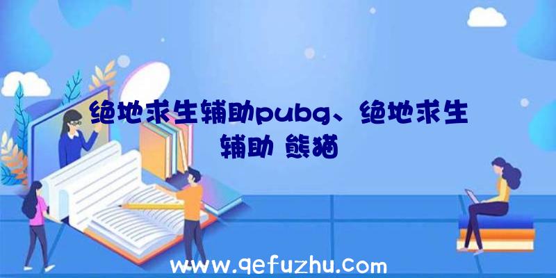 绝地求生辅助pubg、绝地求生辅助