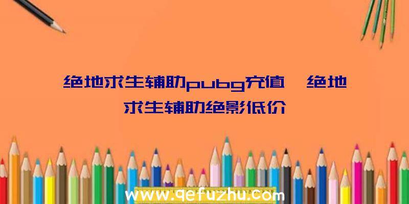 绝地求生辅助pubg充值、绝地求生辅助绝影低价