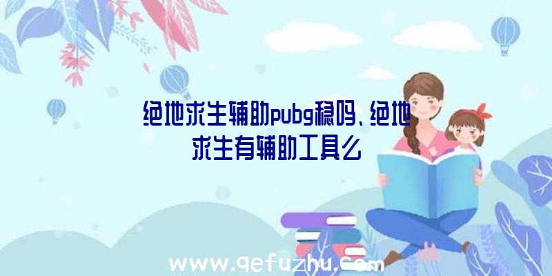 绝地求生辅助pubg稳吗、绝地求生有辅助工具么