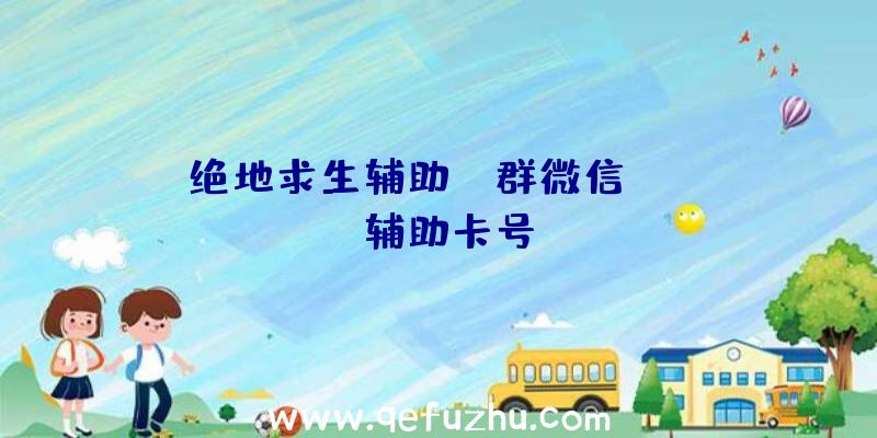 绝地求生辅助qq群微信、pubg辅助卡号