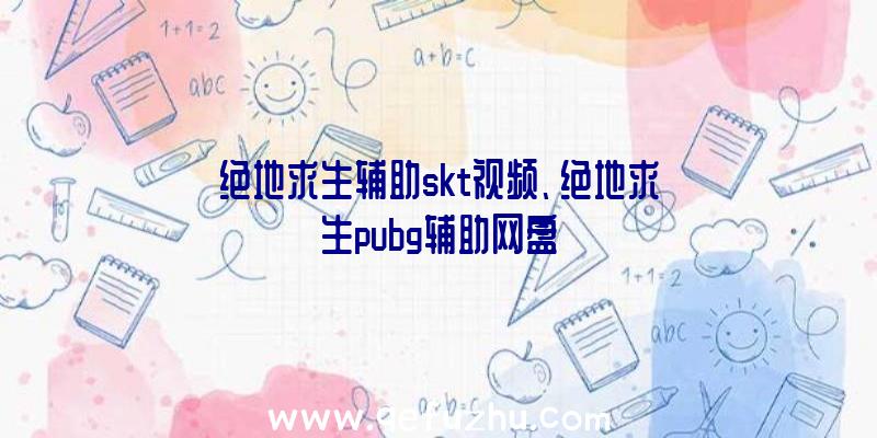 绝地求生辅助skt视频、绝地求生pubg辅助网盘