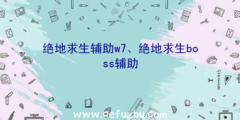 绝地求生辅助w7、绝地求生boss辅助