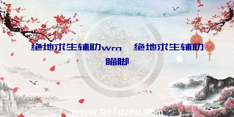 绝地求生辅助wm、绝地求生辅助瞄脚