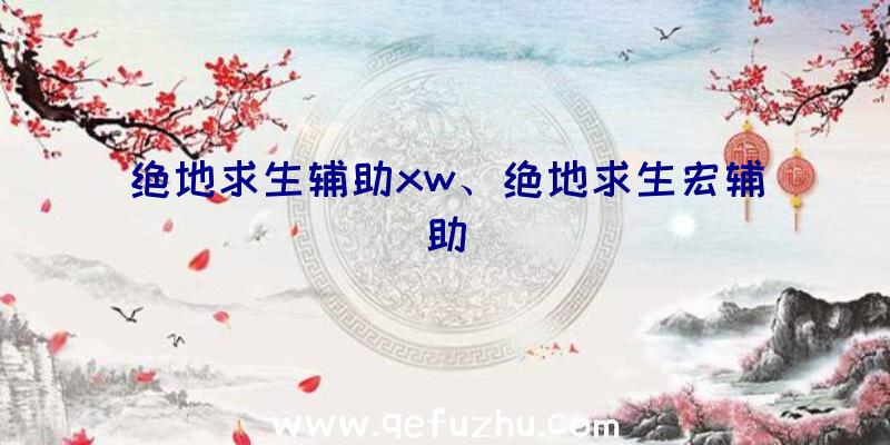 绝地求生辅助xw、绝地求生宏辅助