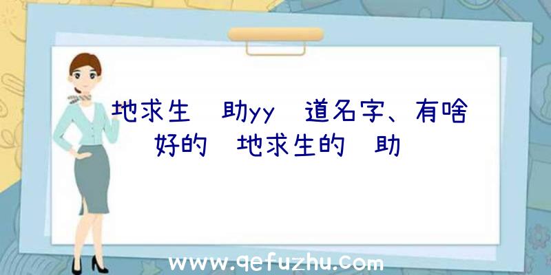 绝地求生辅助yy频道名字、有啥好的绝地求生的辅助