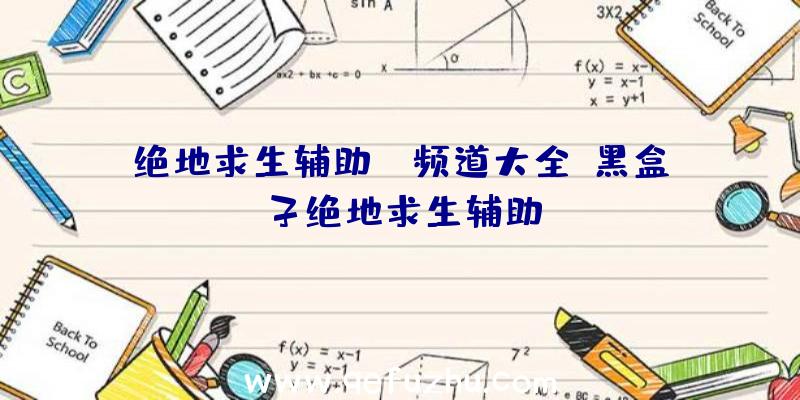 绝地求生辅助yy频道大全、黑盒子绝地求生辅助