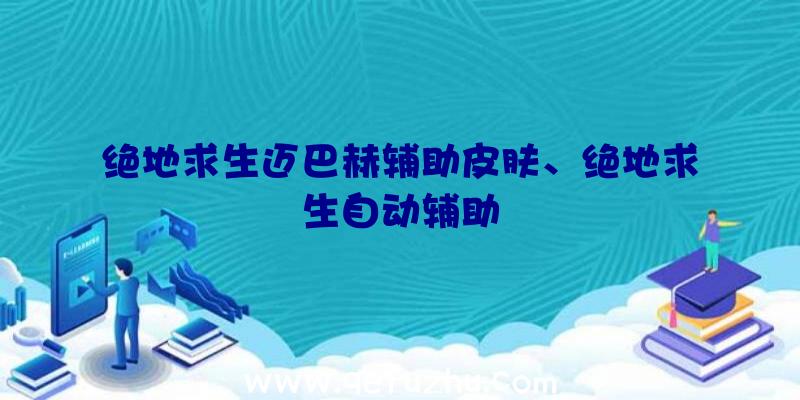 绝地求生迈巴赫辅助皮肤、绝地求生自动辅助