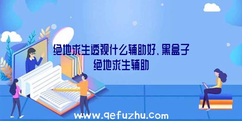 绝地求生透视什么辅助好、黑盒子绝地求生辅助