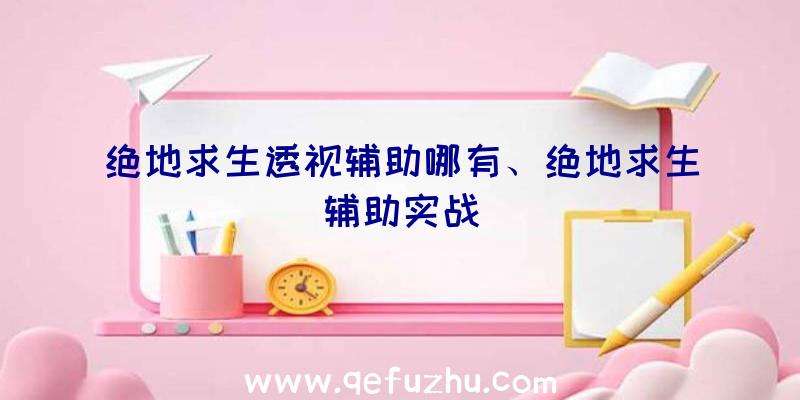 绝地求生透视辅助哪有、绝地求生辅助实战