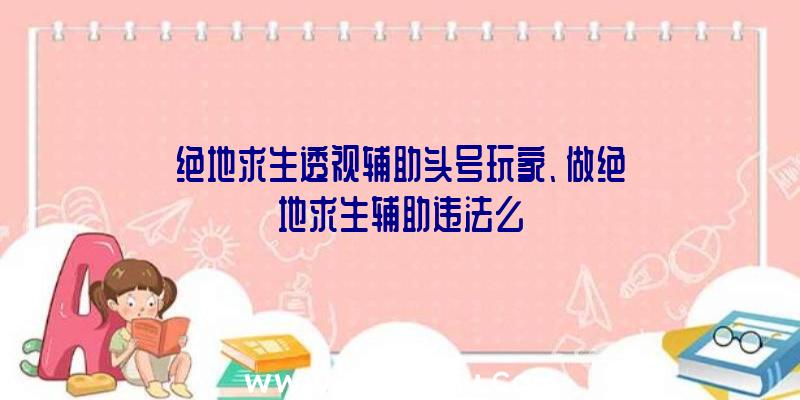 绝地求生透视辅助头号玩家、做绝地求生辅助违法么