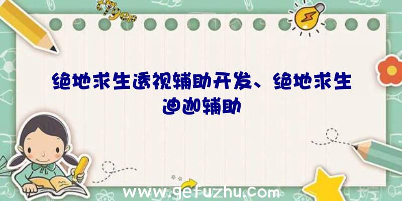 绝地求生透视辅助开发、绝地求生迪迦辅助