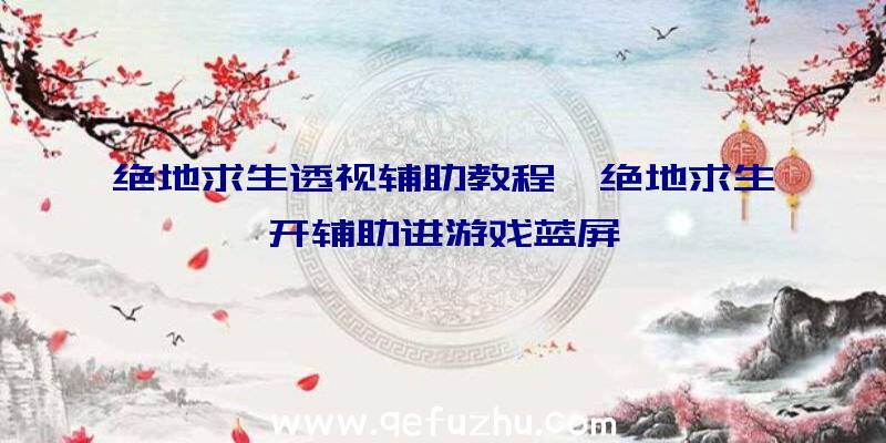 绝地求生透视辅助教程、绝地求生开辅助进游戏蓝屏