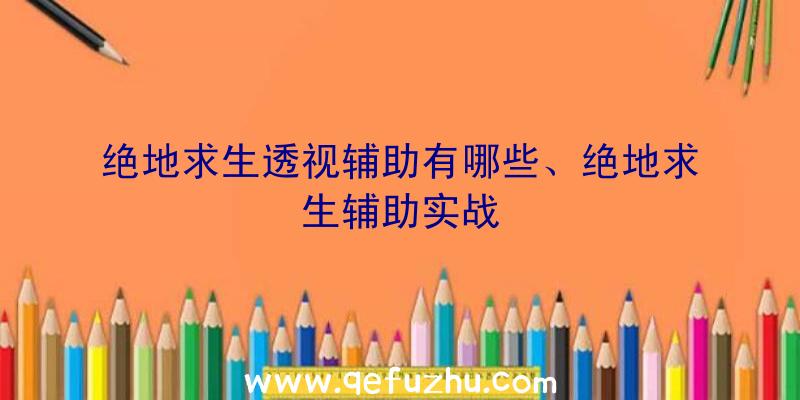 绝地求生透视辅助有哪些、绝地求生辅助实战