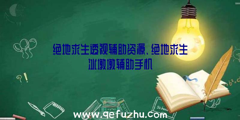 绝地求生透视辅助资源、绝地求生冰墩墩辅助手机