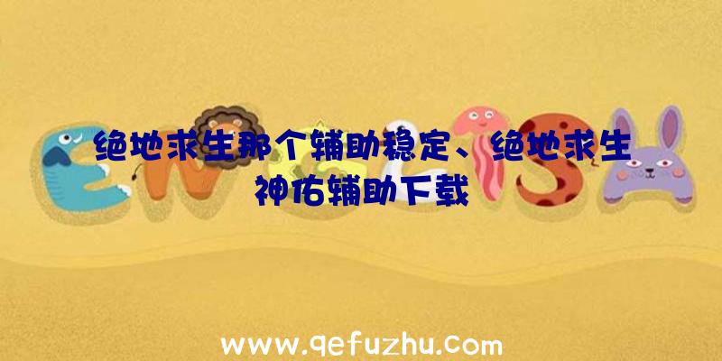 绝地求生那个辅助稳定、绝地求生神佑辅助下载