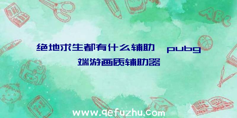 绝地求生都有什么辅助、pubg端游画质辅助器