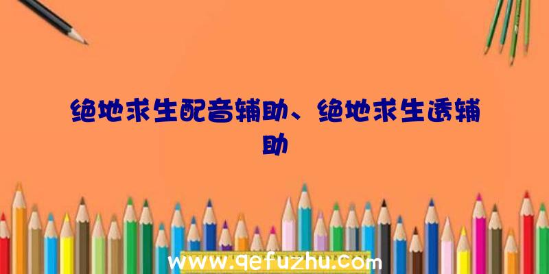 绝地求生配音辅助、绝地求生透辅助