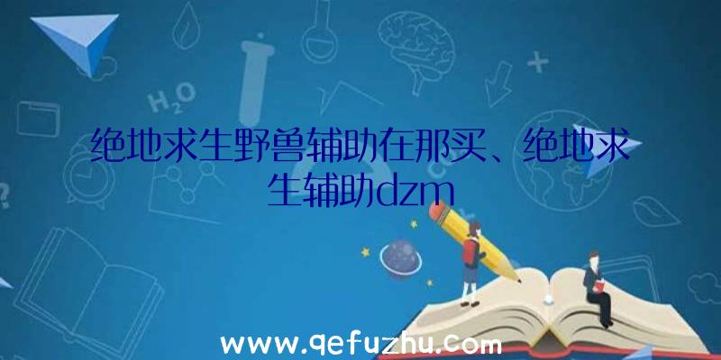 绝地求生野兽辅助在那买、绝地求生辅助dzm