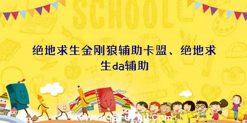 绝地求生金刚狼辅助卡盟、绝地求生da辅助