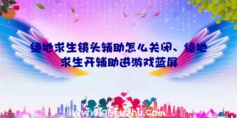 绝地求生镜头辅助怎么关闭、绝地求生开辅助进游戏蓝屏