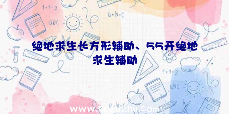 绝地求生长方形辅助、55开绝地求生辅助