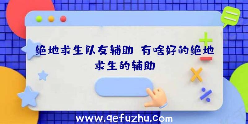 绝地求生队友辅助、有啥好的绝地求生的辅助