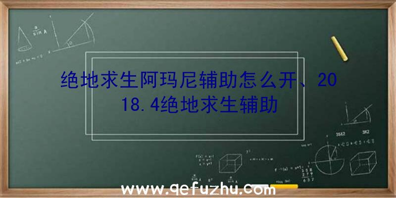 绝地求生阿玛尼辅助怎么开、2018.4绝地求生辅助