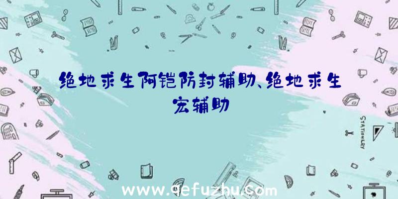 绝地求生阿铠防封辅助、绝地求生宏辅助