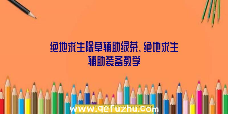 绝地求生除草辅助绿茶、绝地求生辅助装备教学