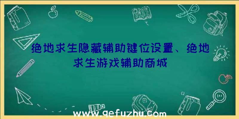 绝地求生隐藏辅助键位设置、绝地求生游戏辅助商城