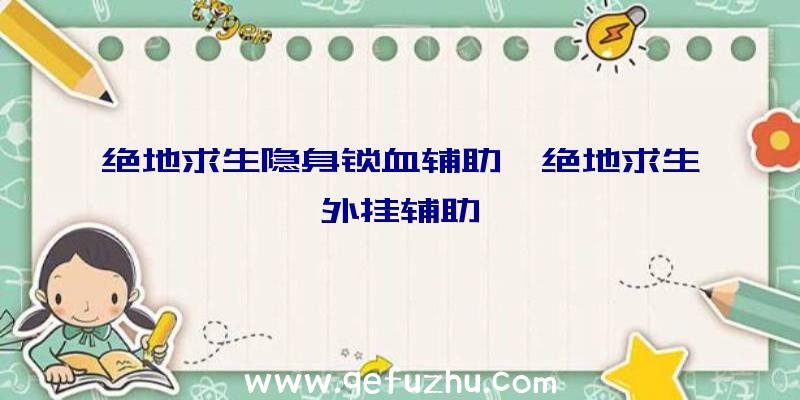 绝地求生隐身锁血辅助、绝地求生外挂辅助