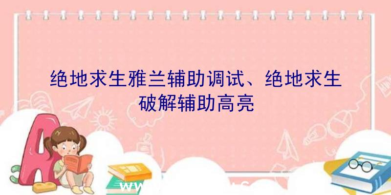 绝地求生雅兰辅助调试、绝地求生破解辅助高亮