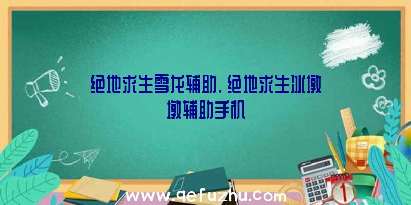 绝地求生雪龙辅助、绝地求生冰墩墩辅助手机