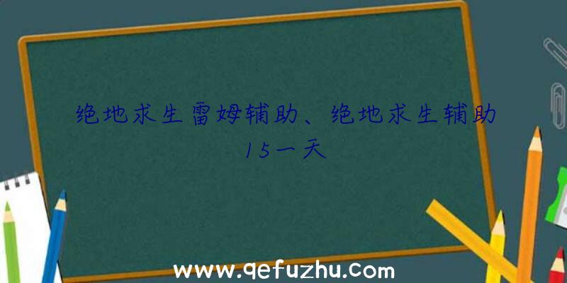 绝地求生雷姆辅助、绝地求生辅助15一天