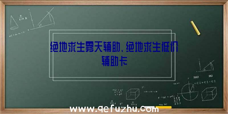 绝地求生雾天辅助、绝地求生低价辅助卡