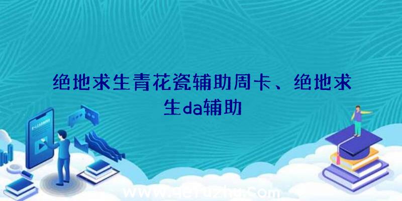 绝地求生青花瓷辅助周卡、绝地求生da辅助