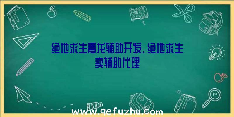 绝地求生青龙辅助开发、绝地求生卖辅助代理