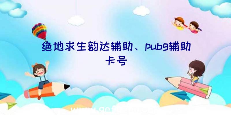 绝地求生韵达辅助、pubg辅助卡号