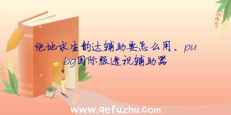 绝地求生韵达辅助要怎么用、pubg国际服透视辅助器