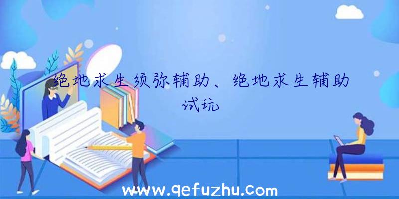 绝地求生须弥辅助、绝地求生辅助试玩