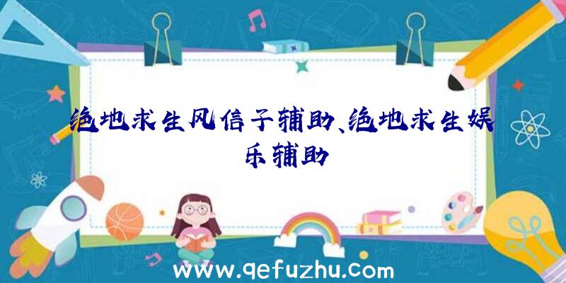 绝地求生风信子辅助、绝地求生娱乐辅助